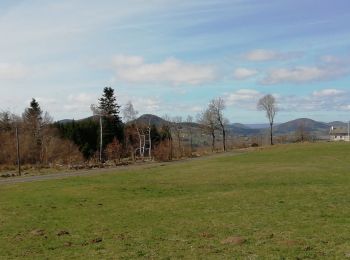 Tocht Stappen Yssingeaux - 43 Yssingeaux 3sucs 9km 300m - Photo