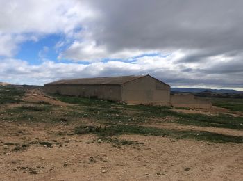 Trail Walking Bardenas Reales de Navarra - Pic Fraile - Photo