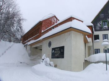 Percorso A piedi Klingenthal - Rundwanderweg Klingenthal-Zwota - Photo