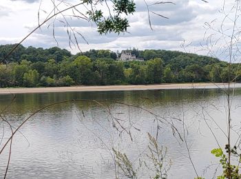 Trail Hybrid bike Saumur - R / étape 1 - de Saumur à Gennes sur Loire - Photo