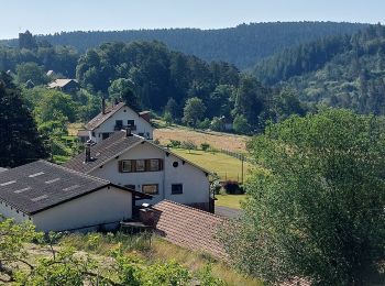 Tocht Stappen Wangenbourg-Engenthal - Wangenbourg Schneeberg - Photo