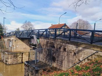 Excursión Senderismo Vaires-sur-Marne - Boucle Vaires sur Marne / Noisiel / Chelles - Photo