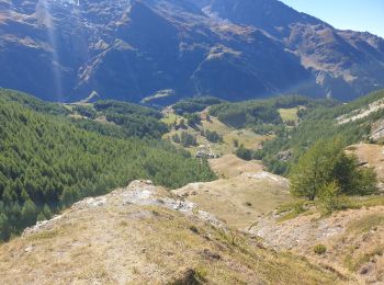 Excursión Bici de montaña Sainte-Foy-Tarentaise - monal - Photo