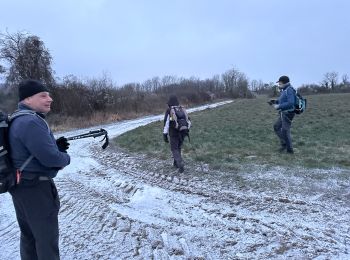 Trail Walking Fosses-la-Ville - Sart Eustache 23,2 km - Photo