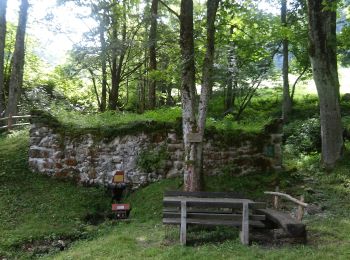 Tocht Te voet Gemeinde St. Georgen an der Leys - Melkursprung (St. Georgen an der Leys) - Photo