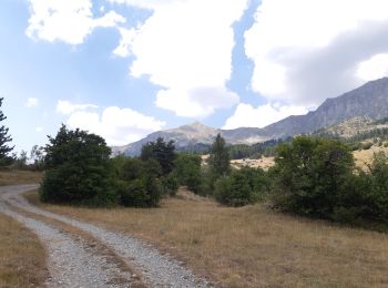 Percorso Marcia Chorges - au dessus de Chorges : Naume Raze . les Drayes . parking des Gardes . Forest Barthiers . Naume Raze - Photo