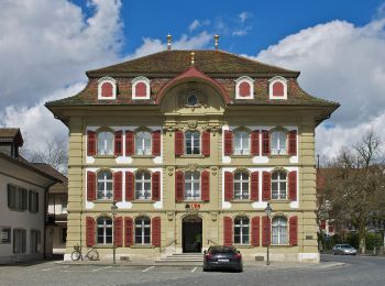 Tour Zu Fuß Safenwil - Altes Schützenhaus - Rottannen - Photo