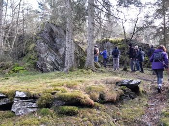 Tocht Stappen Gouvy - baclain - Photo