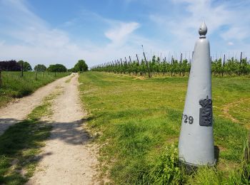 Tour Wandern Eijsden-Margraten - 2022-10-23_14h53m39_eijsden-margraten-e9-mesch--moerslag--mesch - Photo