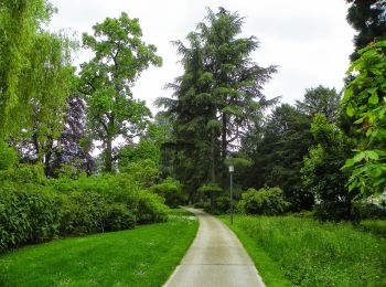 Tour Zu Fuß Baden - Baden - Wettingen - Photo