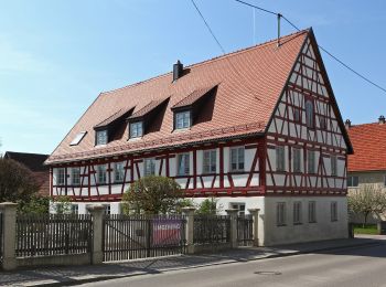Tour Zu Fuß Münsterhausen - Gewässerinformations Erlebnispfad Münsterhausen - Photo