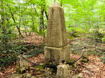 Randonnée A pied Fontainebleau - Fontainebleau les monts de Fay - Photo