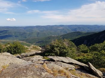 Trail Walking Fraisse-sur-Agout - Lac de Vésoles - Photo