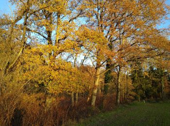 Tocht Stappen Arches - confi samedi 21 nov - Photo