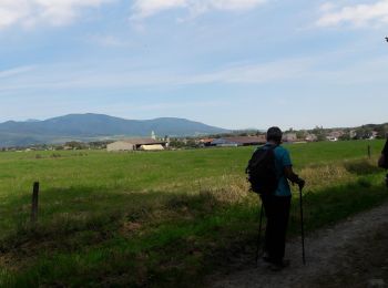 Randonnée Marche Heimsbrunn - 19.07.03.Heimsbrunn Michelbach  - Photo