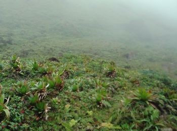 Randonnée Marche Saint-Claude - la Soufrière  - Photo