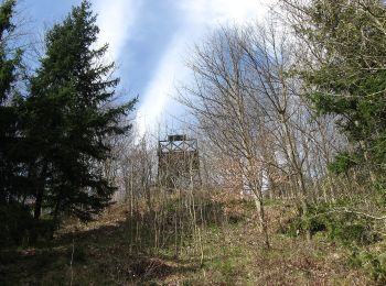 Tour Zu Fuß Srnín - Naučná stezka Granátník - Photo