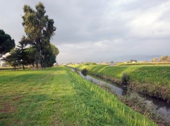 Randonnée A pied Ponte Buggianese - Valle del Pescia - Il trekking lungo il fiume - Photo