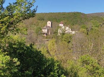 Tour Wandern Boyer - Boyer CAF - Photo