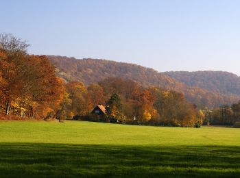 Tocht Te voet Sternenfels - Stromberg-Route 3 Walk & Wein Krauchgau-Stromberg - Photo