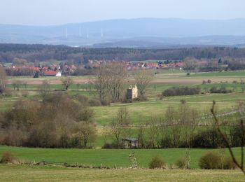 Randonnée A pied Ebergötzen - Holzeröder Rundweg 1 - Photo