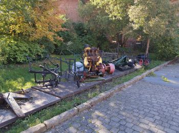 Percorso A piedi Görzke - Töpferwanderweg - Photo