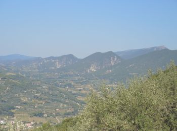 Randonnée Marche Mirabel-aux-Baronnies - PF-Mirabel-aux-Baronnies - Le Plateau des Cailles - Photo