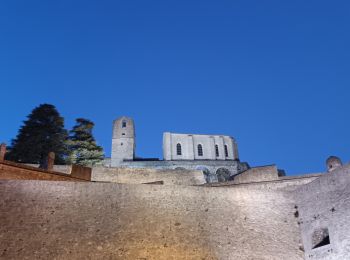 Tocht Stappen Sisteron - sur les hauteurs de sisteron - Photo