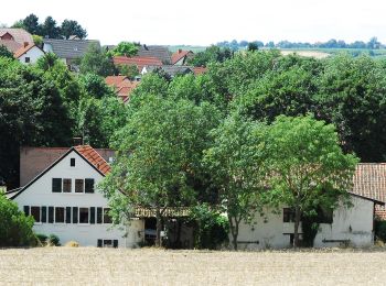 Trail On foot Appenheim - Appenheim: Panoramaweg - Photo