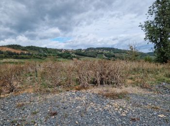 Tocht Stappen Saint-Jean-des-Vignes - Pierres-Dorées_Saint-Jean-Des-Vignes=>Charnay - Photo