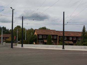 Tocht Te voet Zürich - Familien-Wanderweg Settbach - Zoo - Photo