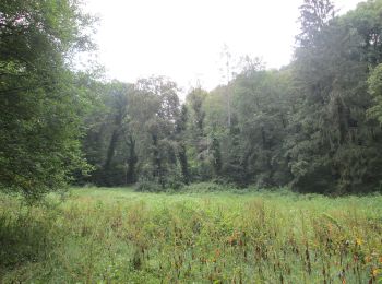 Tour Zu Fuß Saarbrücken - Rundweg Historischer Halberg - Photo