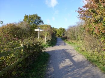 Trail On foot Wirral - Parkgate Walk - Photo