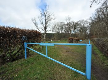 Tour Zu Fuß Harrogate - Dales Way - Harrogate Link Path - Photo