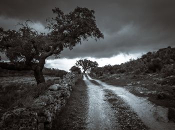 Percorso A piedi Santa Maria de Marvão - Percurso Pedestre dos Galegos - Photo