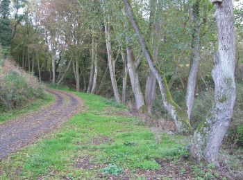 Tocht Te voet Kaufungen - Niederkaufungen, Rundweg 29 - Photo