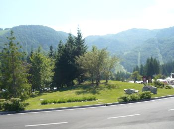 Trail On foot Aviano - Giro delle Malghe Piancavallo - Photo