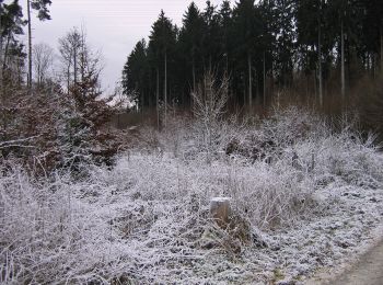 Tocht Te voet Onbekend - DE-SAV Blauer Punkt, Westbahnhof - Solitude - Leonberg - Photo