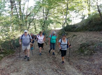 Tocht Stappen Rontignon - UZOS boucle de la glandee M1 le 16/09/2020 la bonne - Photo