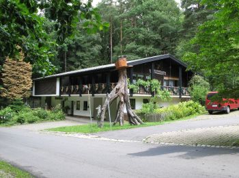 Excursión A pie Furth im Wald - Fu04 Steinbruchseeweg - Photo