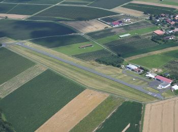 Randonnée A pied Miltenberg - Rundwanderweg Miltenberg Rund um Mainbullau 8: - Photo