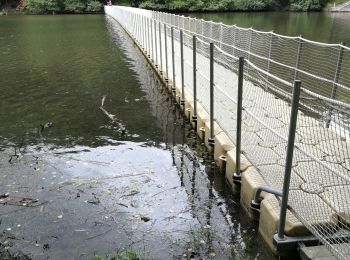 Tocht Stappen Rambrouch - Pont Misère - Photo