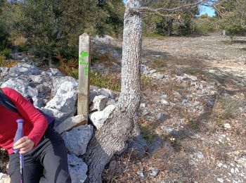 Tour Wandern Saint-Saturnin-lès-Apt - les ayguiers de St Saturnin  - Photo