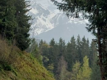 Tour Wandern Theys - PINCERIE EN BOUCLE DEPUIS PIPAY - Photo