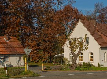 Tocht Te voet Westerkappeln - Westerkappeln Rundweg A4 - Photo