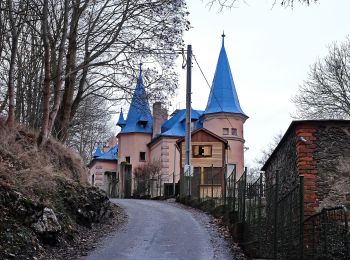 Percorso A piedi Cheb - červená místní - Photo