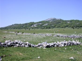 Percorso A piedi Roccagiovine - Via dei Lupi - Tappa 2: San Polo dei Cavalieri - Licenza - Photo