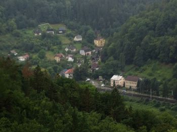 Percorso A piedi Děčín - NS Kaňon Labe - Photo