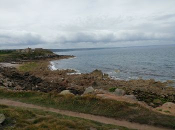 Randonnée Marche Fermanville - 50 Autour du Cap LEVI 5km  - Photo