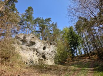 Tocht Te voet Pottenstein - Rundweg Püttlach - Photo